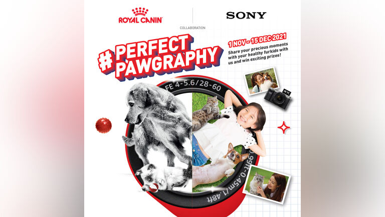Perfect Pawgraphy Contest